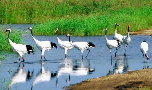 國內旅遊那些出名的打卡地