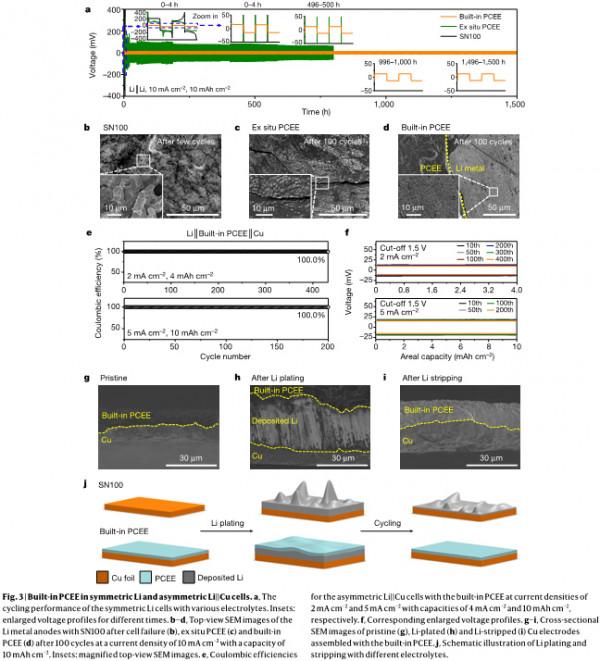 高能固態Li電池用彈性電解質