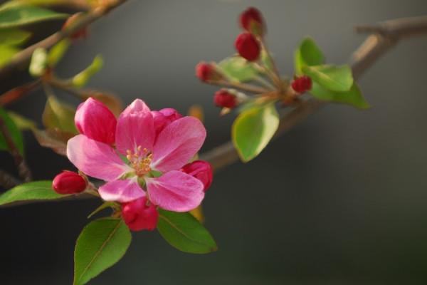 巨蟹座女生2022年運勢詳解，面對挑戰，展示勇氣，絕不輕易低頭