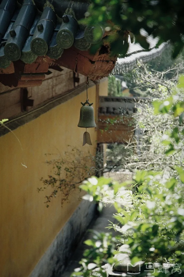 《長津湖》票房破53億,能超越《戰狼2》嗎?取景地美如仙境 《長津湖》票房破53億,能超越《戰狼2》嗎?取景地美如仙境