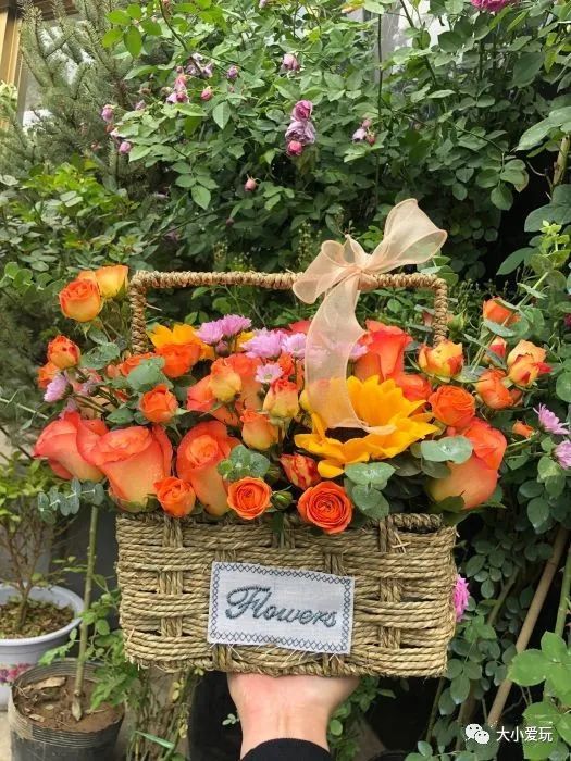 京城八大寶藏花市裡,藏著孩子最愛的植物園和水族館,冬日逛起來 京城八大寶藏花市裡,藏著孩子最愛的植物園和水族館,冬日逛起來