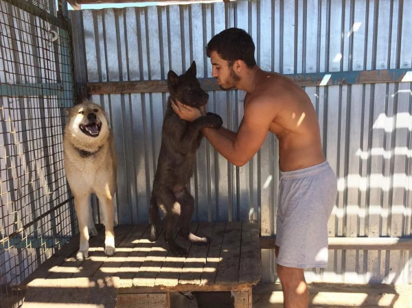 小黑狗主動上門求收養，主人養了段時間後發現不對，獸醫建議送走