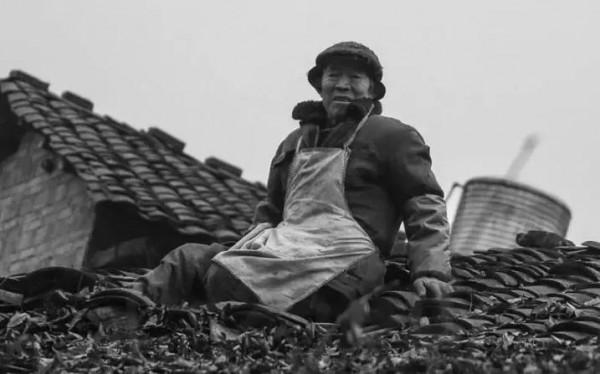 命苦的滿叔，在人間磨了25年，最後帶著一身蛆蟲走了