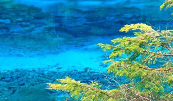 九寨溝山水如畫，是大自然最得天獨厚的地方