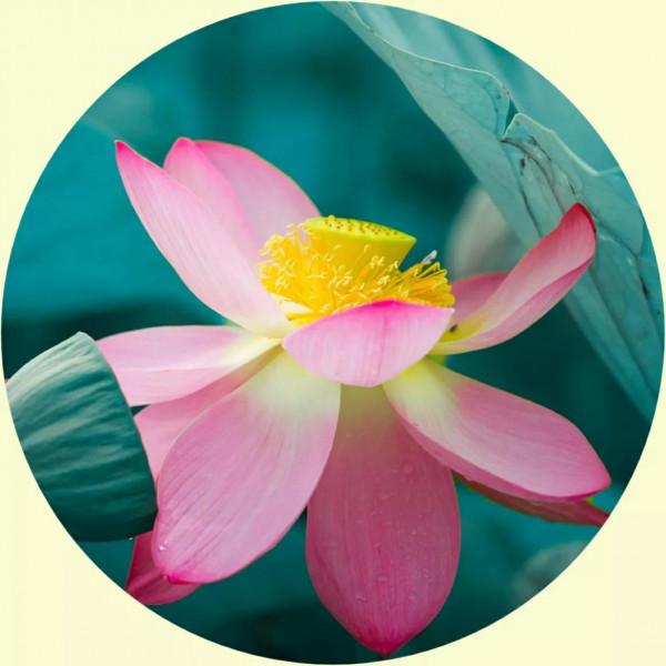 你的微信頭像該換了,美麗的風景,令人心曠神怡 你的微信頭像該換了,美麗的風景,令人心曠神怡