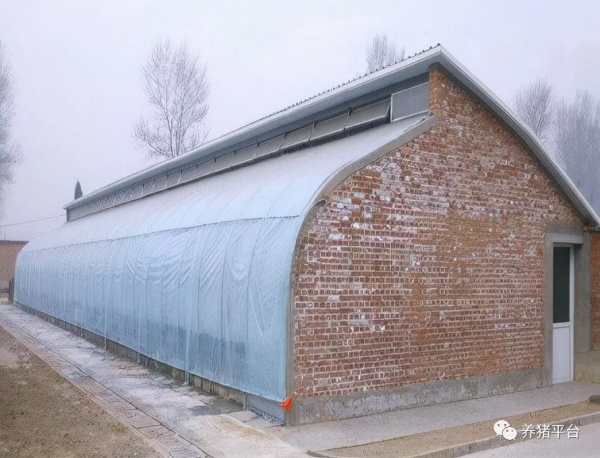 冬季豬場保溫工作怎麼做？看這一篇文章就夠了