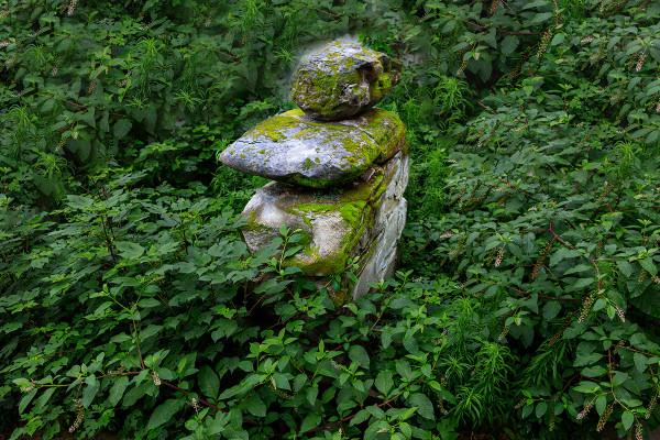 四川二十座漢闕 每座都是中國古代建築的“活化石”