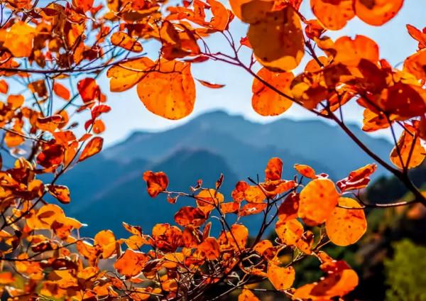 避開擁擠的人潮，7個值得去的北京賞紅葉之地