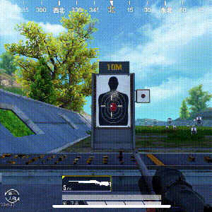 有手就行的進階狙擊技巧，王牌路上助你一臂之力