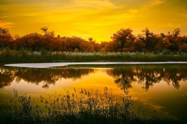 中國秋色正在上演!這9條自駕線,帶你領略不一樣的秋色 中國秋色正在上演!這9條自駕線,帶你領略不一樣的秋色