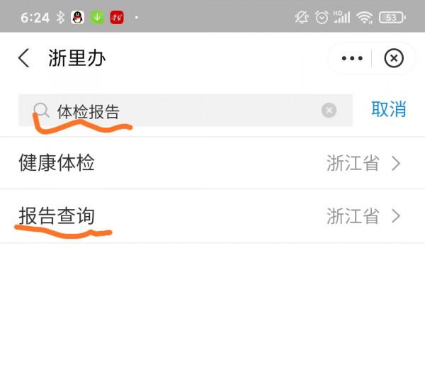 支付寶下載體檢報告PDF檔案