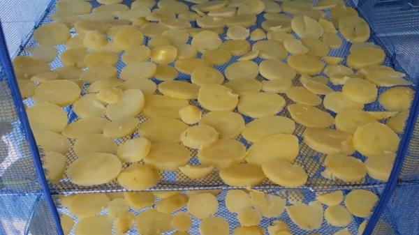 這7種曬乾更香的廉價蔬菜，冬天燉肉特過癮，太香了，放1年也不壞