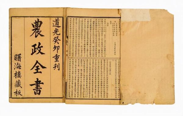 陳振龍：冒死偷回一根藤，經過7代人的努力，讓中國多了3億人口