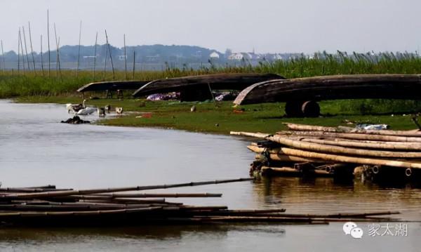 長三角這些美麗安靜的漁村，你去過幾個？