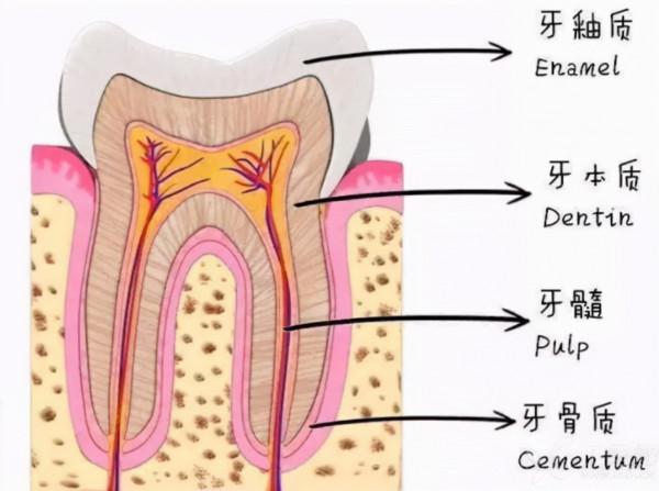 寶寶從小牙敏感!醫生的這幾條建議,讓寶媽心服口服 寶寶從小牙敏感!醫生的這幾條建議,讓寶媽心服口服