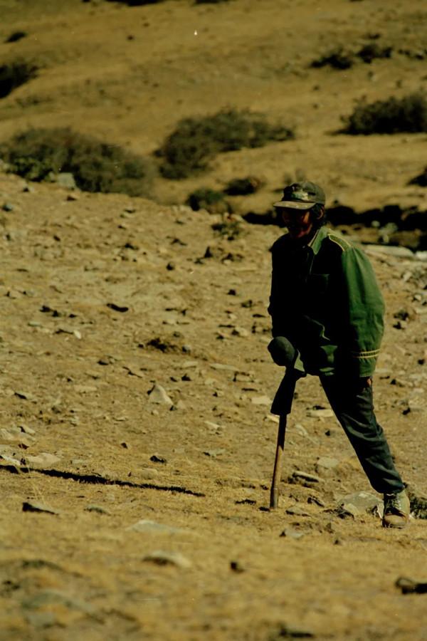 趙有強:西藏,西藏,20年念念不忘 趙有強:西藏,西藏,20年念念不忘