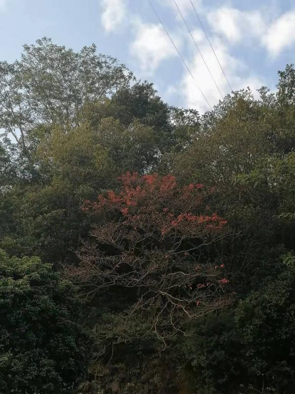 雲彩下的山城系列（九）