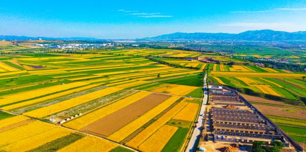組圖 | 六盤山下好風光——夏日田園美景如畫 組圖 | 六盤山下好風光——夏日田園美景如畫