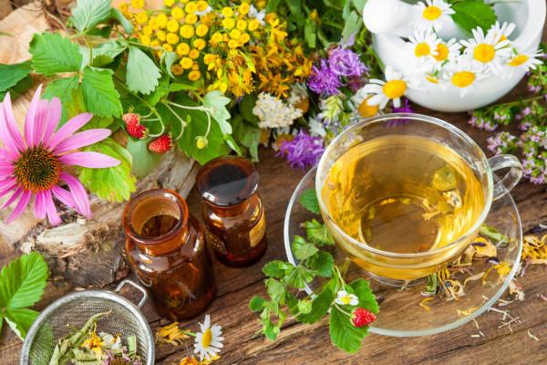 廣東人為何喜歡喝涼茶？揭秘廣東古承真功夫涼茶的歷史淵源