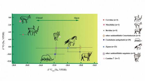 穩定同位素分析重建泥河灣盆地麻地溝古人類生存環境