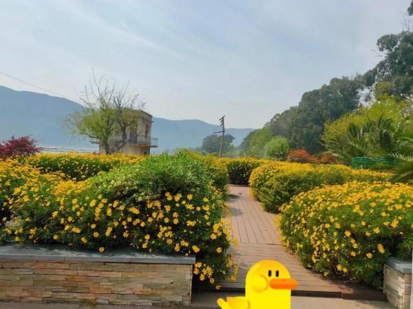 反覆橫跳的民族-沙陀人