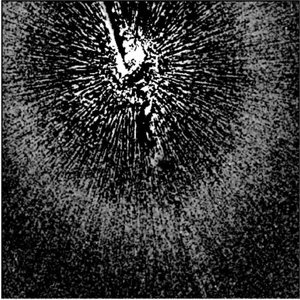 日冕圖——南希·格雷斯羅馬太空望遠鏡的新部件