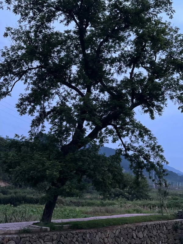 自然不會拋棄任何人