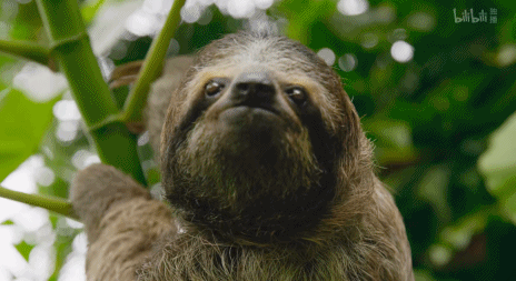 電影成真?再這麼下去,人類被自然災難吞噬就要成為現實 電影成真?再這麼下去,人類被自然災難吞噬就要成為現實