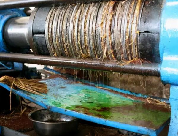 什麼油最安全?提醒:有2種油長期吃危害大,最好不吃為宜 什麼油最安全?提醒:有2種油長期吃危害大,最好不吃為宜