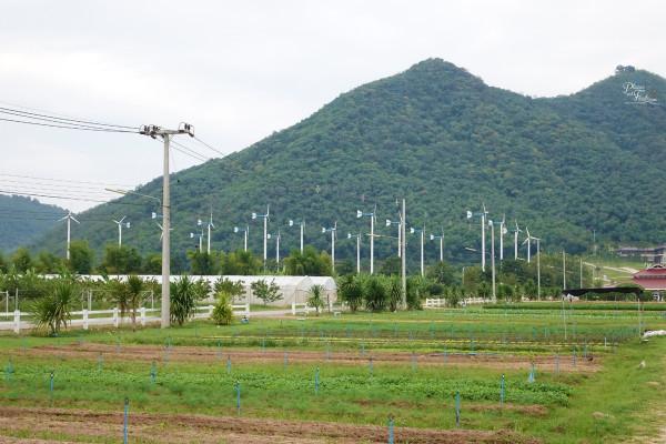 泰國皇家景點的那些暹羅往事