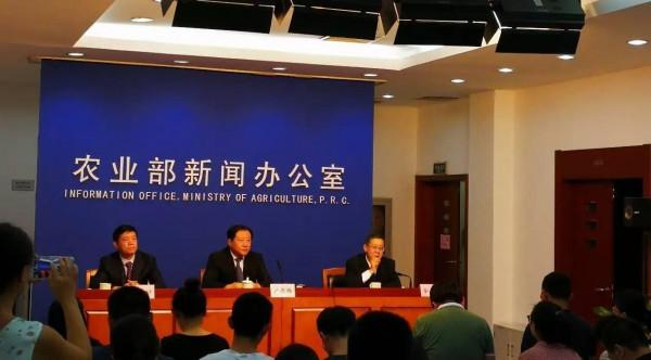 什麼是允許休閒垂釣？官方解答來了，只需符合四點