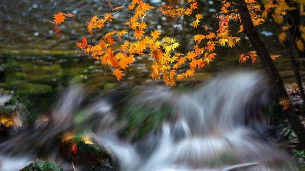 歲月人間促,煙霞此地多。兩首蘊含人生哲理的小詩,您值得品讀 歲月人間促,煙霞此地多。兩首蘊含人生哲理的小詩,您值得品讀