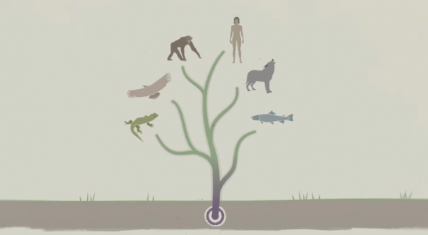 地球為什麼選擇了碳基生命，而不是矽基生命？矽基生命長什麼樣？