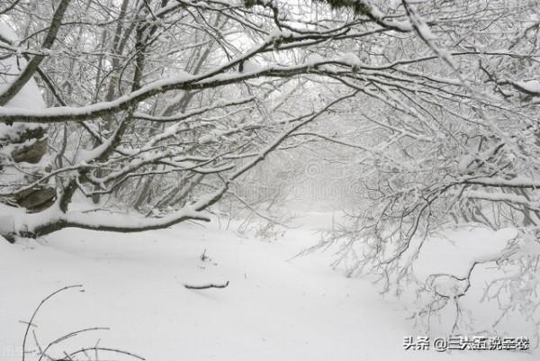 天氣預報：2021年冬天冷不冷？老農說：就看八月十五，農諺能預兆