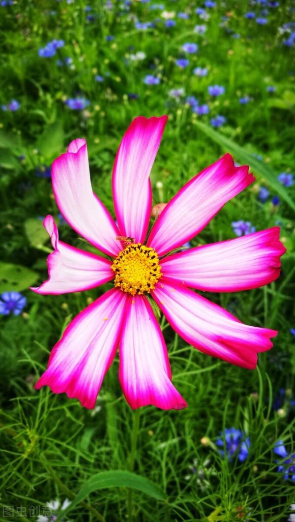 寶寶的日常-種花 寶寶的日常-種花