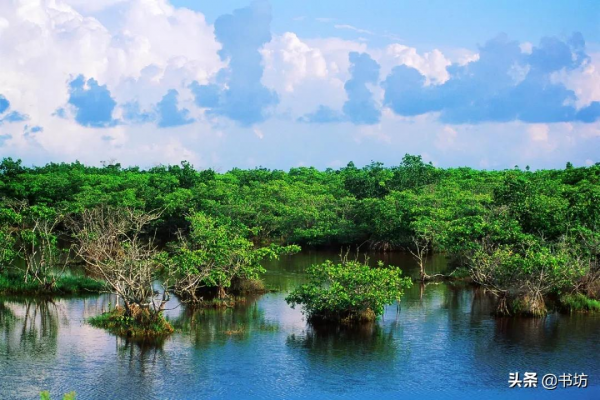 中國最美八大海岸景色