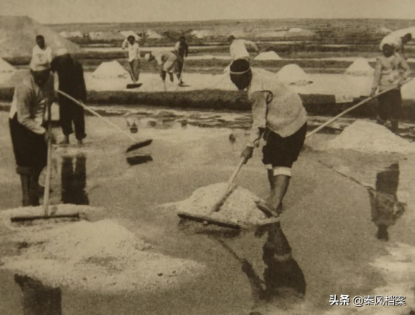 【老照片】陝甘寧邊區的寶貝——“鹽” 【老照片】陝甘寧邊區的寶貝——“鹽”