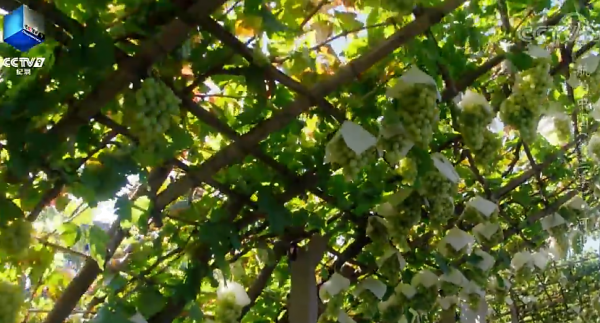 鄉土地理——河北省·燕趙大地