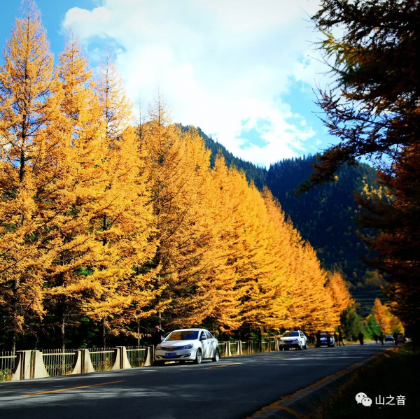 青海的秋天看這裡