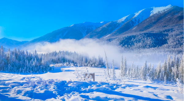 出國有什麼了不起?你來過新疆嗎? 出國有什麼了不起?你來過新疆嗎?