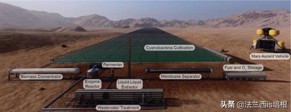 大腸桿菌只會讓你鬧肚子？不，它很有用，帶上火星能製造火箭燃料