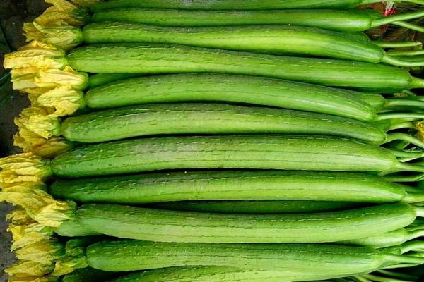 秋冬時節,多給家人吃4種瓜,實惠又營養,常吃健康或不請自來 秋冬時節,多給家人吃4種瓜,實惠又營養,常吃健康或不請自來