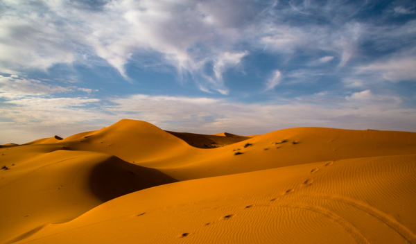 拒絕將就,有講究的星座,野心很大,如同狡猾狐狸,並非池中之物 拒絕將就,有講究的星座,野心很大,如同狡猾狐狸,並非池中之物