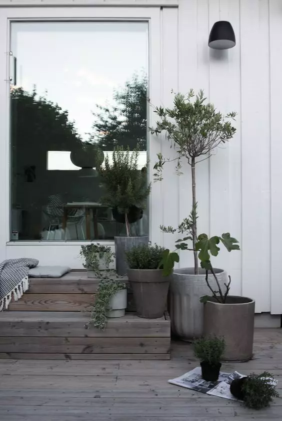 50款簡潔的院子，美的驚人