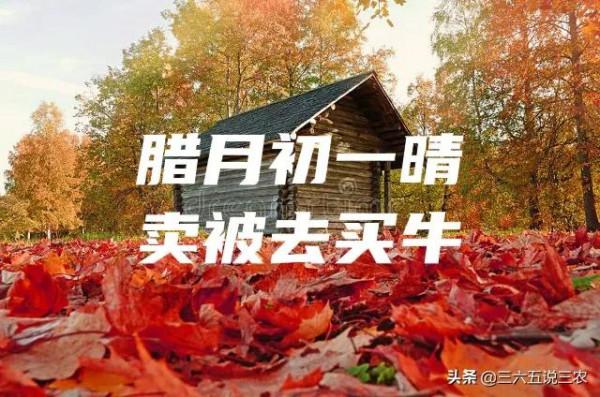 天氣預報：明日臘月初一，太陽晴天有啥說法？看老祖宗的農諺咋說