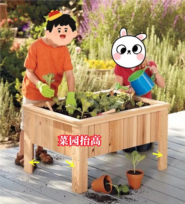 要是有個院子就好了，地面插一圈木板，圍個小菜園忙前忙後也樂意