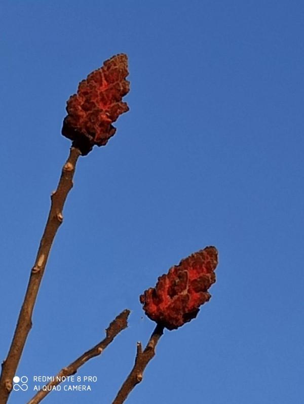 尋找幽靜好去處