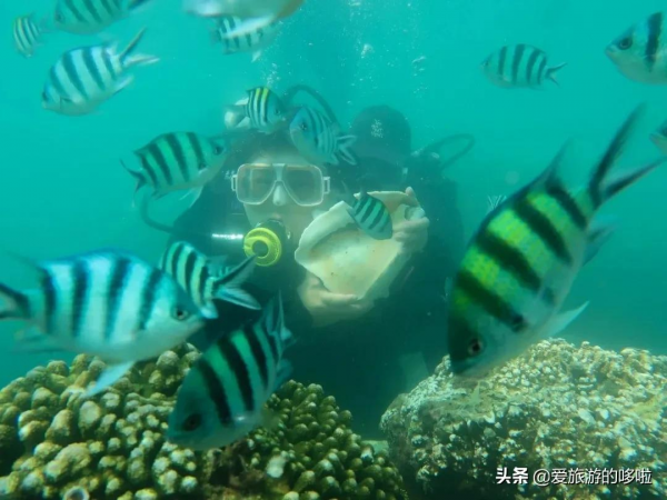 9分神片迴歸!中國人有多會吃海鮮?第一集就讓人邊流口水邊流淚 9分神片迴歸!中國人有多會吃海鮮?第一集就讓人邊流口水邊流淚