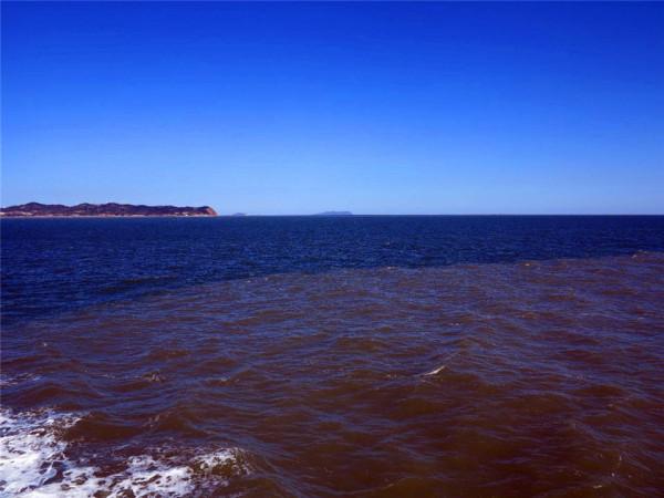 同樣是海水，為什麼黃海和渤海互不相融？感嘆大自然的鬼斧神工