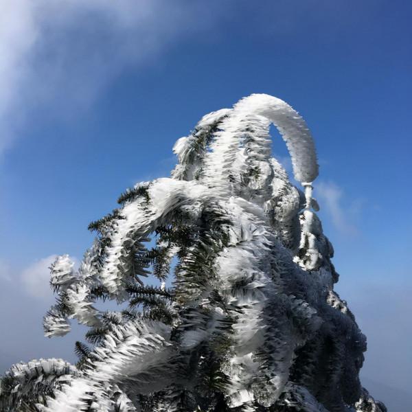 離廣東最近的賞雪地之一，這裡的霧凇年年上熱搜~小週末自駕首選